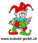 Reinigungs Unternehmen Kobold GmbH